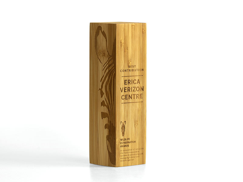 Bamboo Column Award Engraved